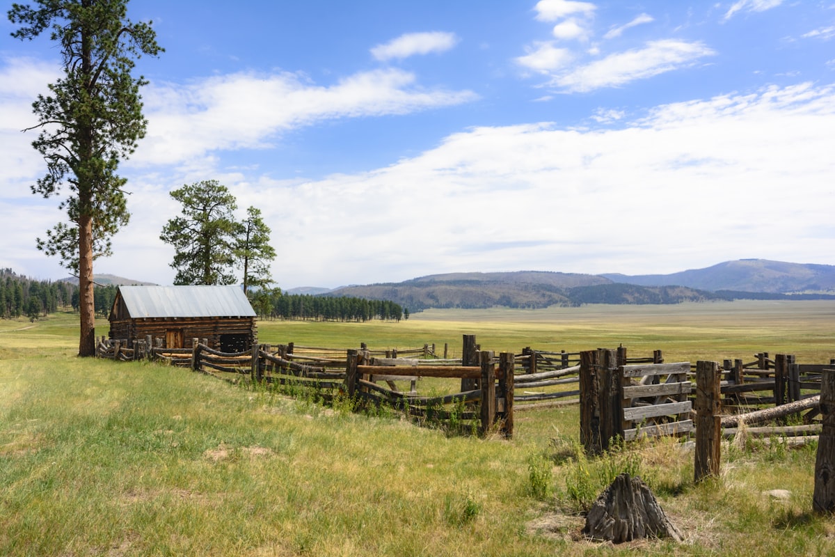 Wooden livestock fence across a grassy field