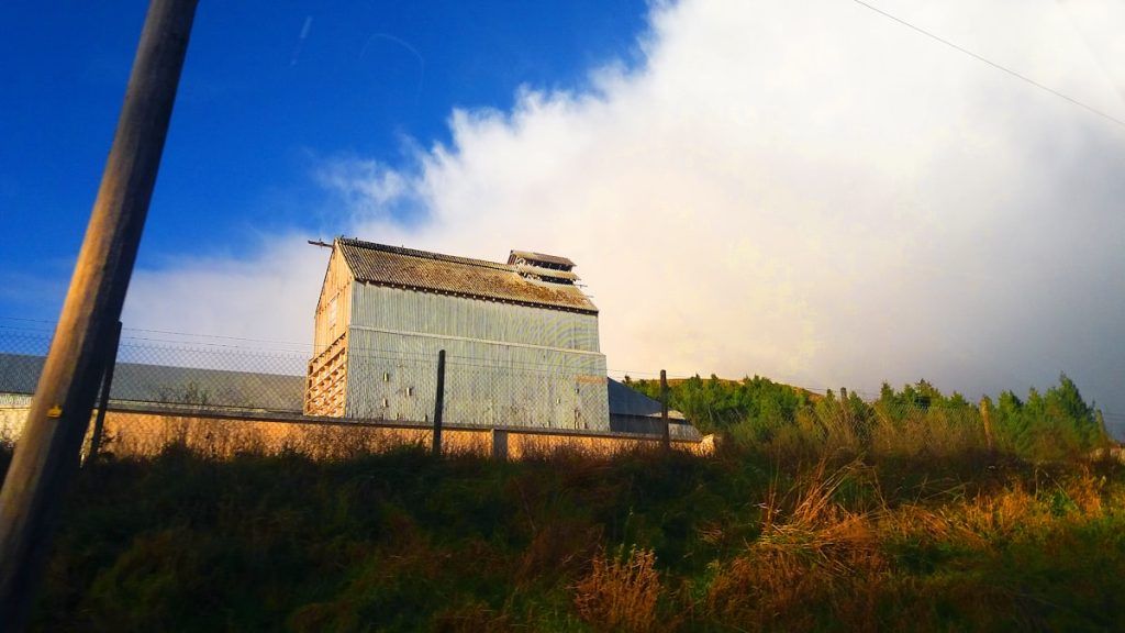 Metal barn building in a green field