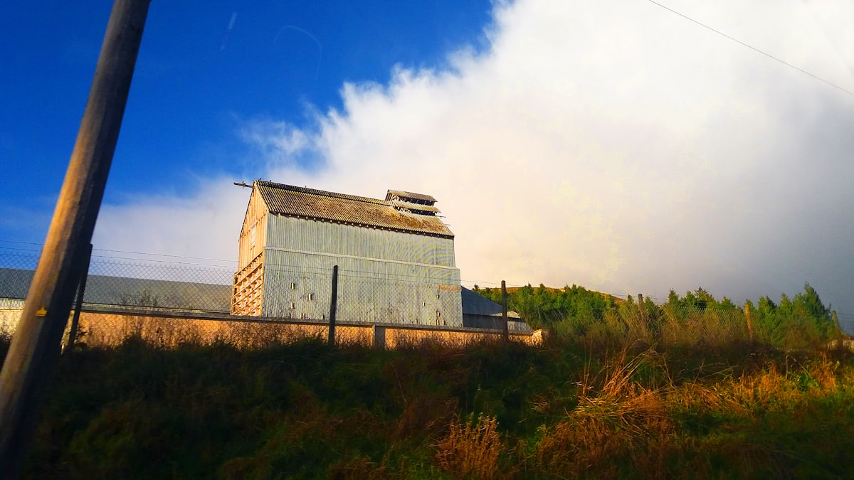 Metal barn building in a green field